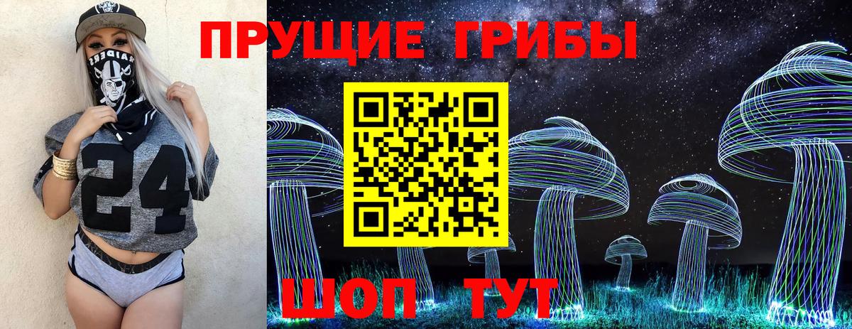 Псилоцибиновые грибы Magic Shrooms  Вход с VPN  хочу наркоту  Галлюциногенные грибы Psilocybe  Ревда 