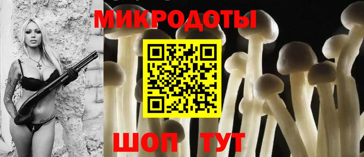 Галлюциногенные грибы Psilocybine cubensis Ревда